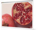 Pomegranate ovary model